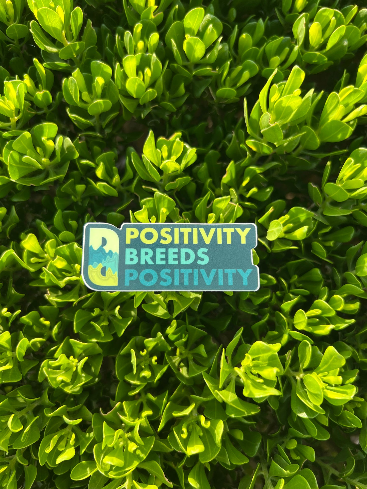 PBP Logo Stickers