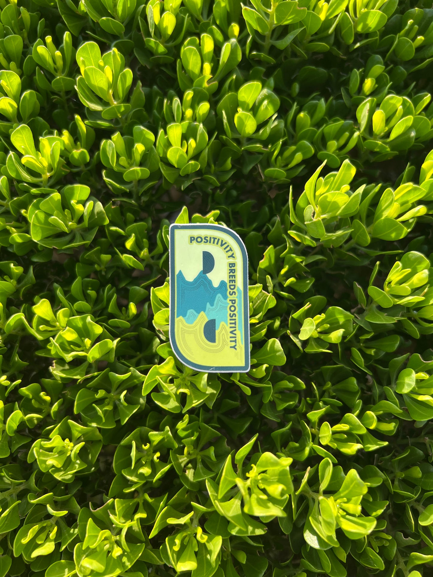 PBP Logo Stickers